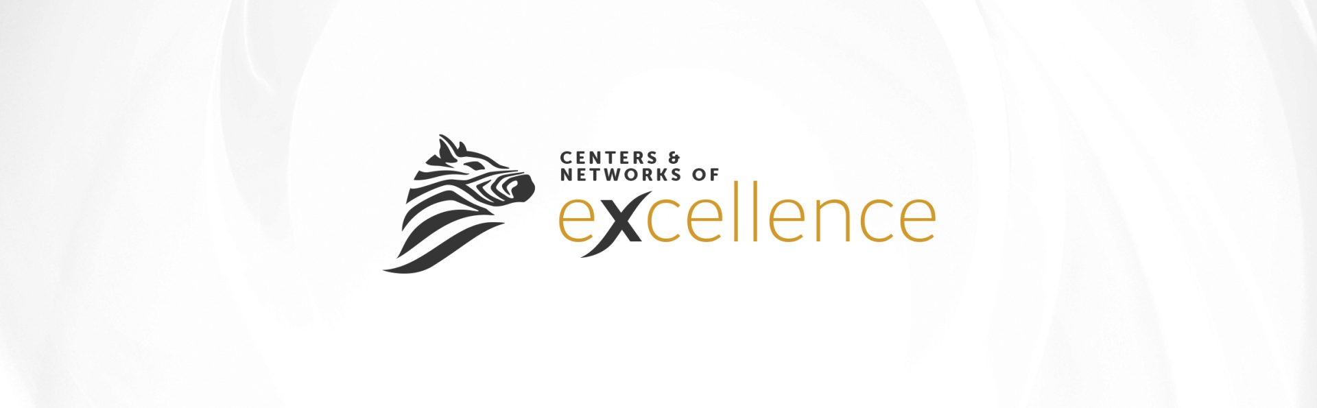 Excellence and Education Network